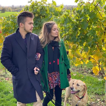 Hencote Vineyard Glamping Village Shrewsbury Eksteriør billede