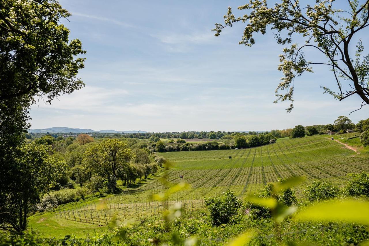 Hencote Vineyard Glamping Village Shrewsbury Eksteriør billede