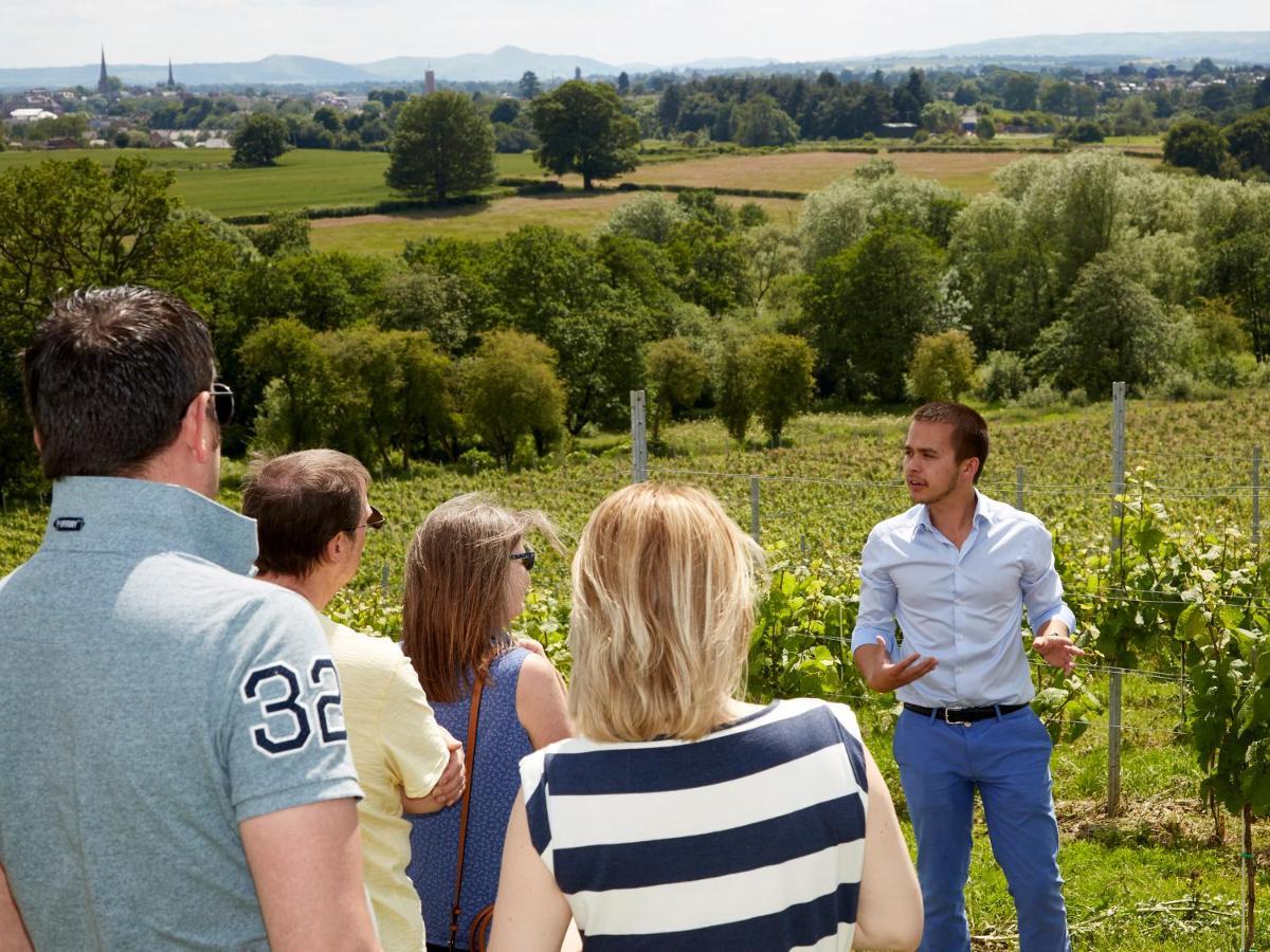 Hencote Vineyard Glamping Village Shrewsbury Eksteriør billede