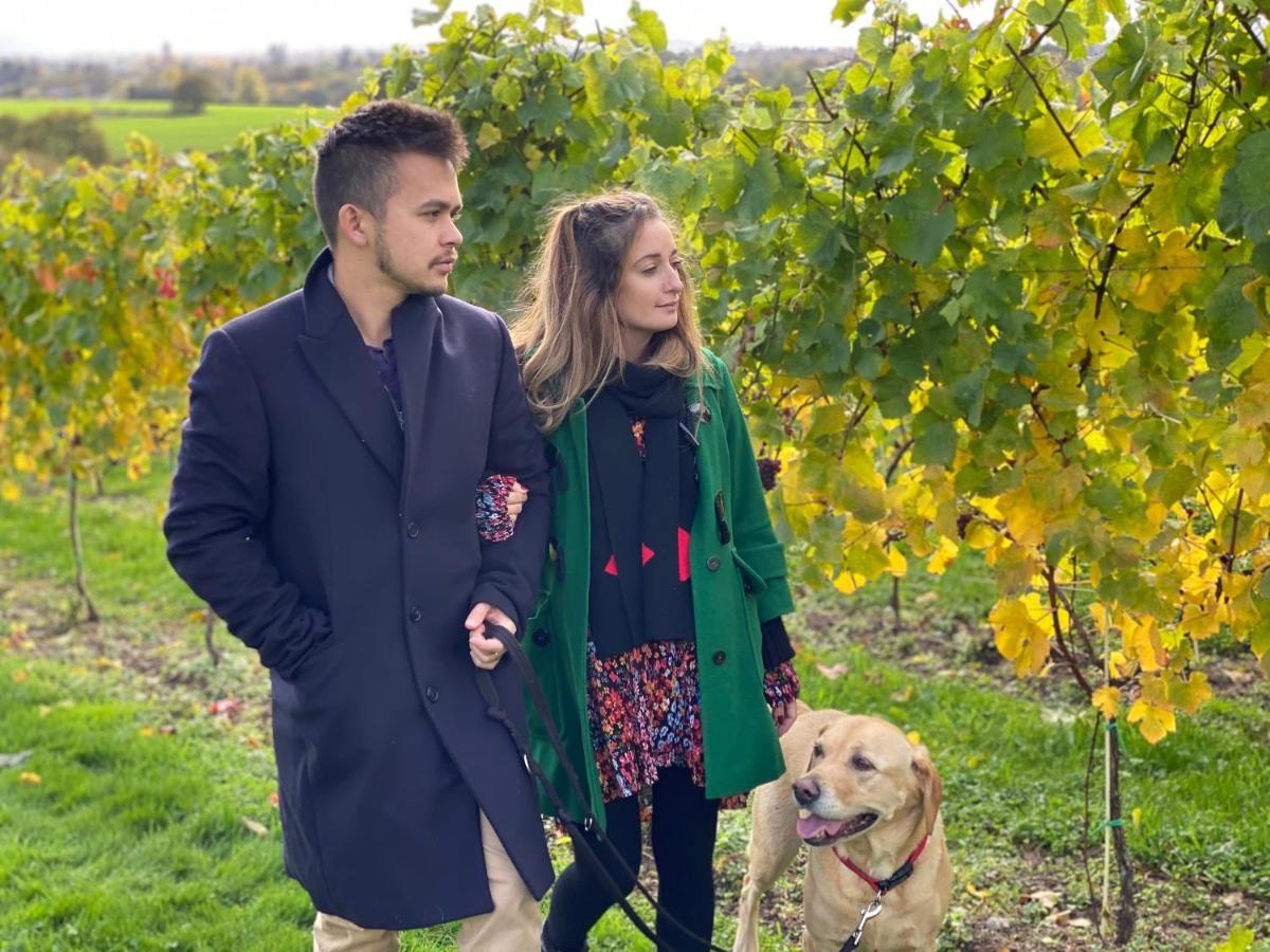 Hencote Vineyard Glamping Village Shrewsbury Eksteriør billede